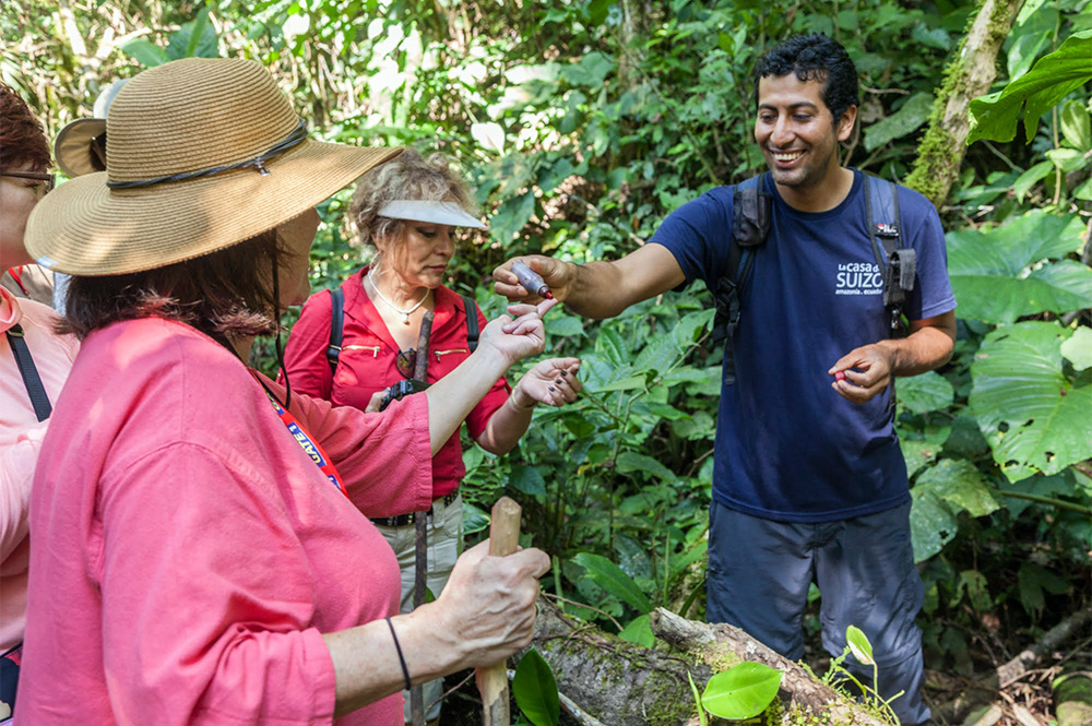 Local guide shows tourists nature on jungle trek