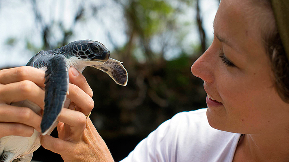 Female holding a baby turtle on a conservation project