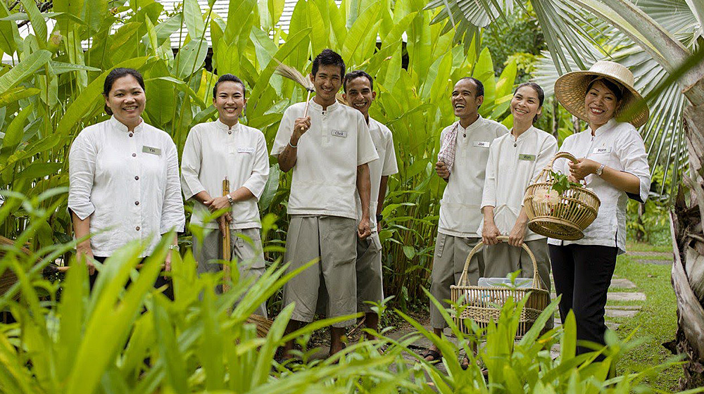 Asia staff in green vegetation
