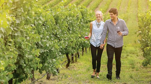 Couple walking through vineyard drinking wine
